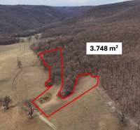 Mezőgazdasági és erdőterületek Príbelce környékén, 3.748 m²-es területtel megjelölve.