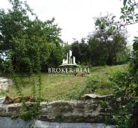 A Goncruszkei családi ház kertje öreg fákkal és kőfallal.