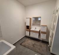 Fürdőszoba családi házban fehér bútorokkal és sötét csempével.