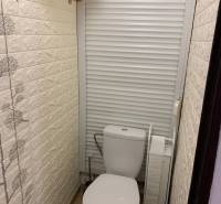 WC tolóajtóval és dekoratív fallal egy kétszobás lakásban.