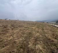 Fás, füvesített lakótelek Ólublóban, látható autóval és úttal.