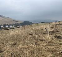 Telkek - lakóövezet Ólublón enyhén lejtős terepen.