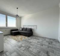 Nappali egy kétszobás lakásban, fa mintázatú padlóval és szürke kanapéval.