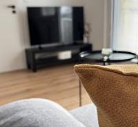 Nappali egy egyszobás lakásban, televízióval, kanapéval és fa dekorációjú padlóval.