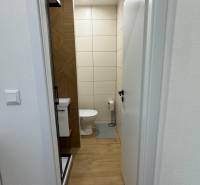 Fürdőszoba WC-vel és zuhanyzóval egy egyszobás lakásban, fa hatású padlóval.