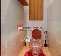 Négyszobás lakás WC-je fa dekorációval és piros szőnyeggel.