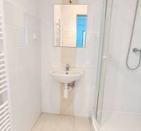 Fürdőszoba mosdóval, zuhanyzóval és fehér csempékkel az irodában.