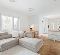 Világos nappali konyhasarokkal, kanapéval és fa mintázatú padlóval.