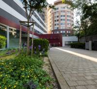 BBC_1_exterier_zadny_dvor