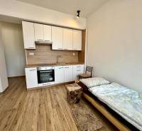 Garzonlakás konyhasarokkal és fa mintázatú padlóval, kiegészítve ággyal és székkel.