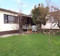 Családi ház Poltáron kerttel és fákkal, rendezett gyep.