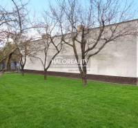 Kert gyepes területtel és fákkal egy családi ház mellett Poltáron.