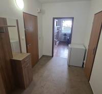 Előszoba és folyosó egy egyszobás lakásban fa dekor padlóval.