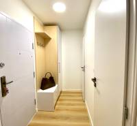 Előszoba fa dekor padlóval, szekrénnyel és fogassal egy kétszobás lakásban.