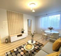 Nappali egy kétszobás lakásban, fa dekorációjú padlóval, világos bútorokkal és dekorációkkal.