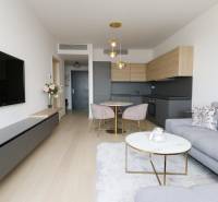 2 szobás lakás fa mintázatú padlóval, szürke kanapéval és minimalista konyhával.