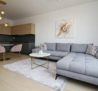 Stílusos nappali kanapéval és konyhával egy kétszobás lakásban.