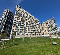 Zöldterület a Bottova utcai modern lakóházak előtt Pozsony-Óvárosban.