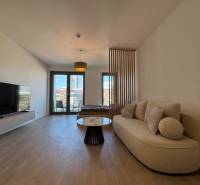 Nappali egy egyszobás lakásban kanapéval, televízióval és fa dekorációjú padlóval.