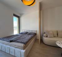 Hálószoba egyszobás lakásban ággyal, kanapéval és fa mintázatú padlóval.