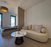 Nappali kanapéval, dohányzóasztallal és ággyal egy egyszobás lakásban, fa dekor padlóval.