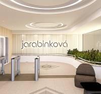 Jarabin_1_Vstup_recepcia_viz_1.png