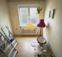 Szoba fa mintázatú padlóval, növénnyel és rózsaszín lámpával.