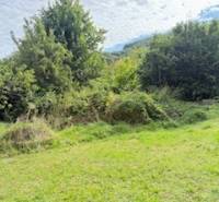 Zöldterület és fák a családi ház telkén Krivosúd-Bodovkán.