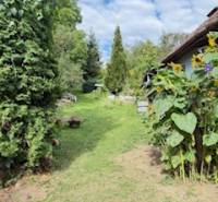 Kert a családi ház mögött Krivosúd-Bodovkán virágzó növényekkel és zölddel.