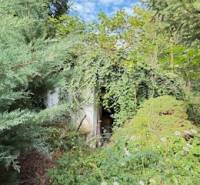 Elhagyatott családi ház benőtt bejárata Krivosúd-Bodovka községben, Krivosúd - Bodovka.