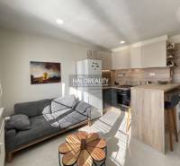 Nappali rész egy egyszobás lakásban konyhával és kanapéval, fa mintás padlóval.