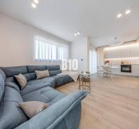 Nappali nagy kanapéval és konyhasarokkal, fa mintázatú padlóval.