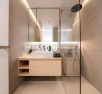 Fürdőszoba tükörrel, zuhanyzóval és fa dekorációval egy háromszobás lakásban.