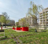 Pozsony-Ružinov lakóépületeinek külső része fákkal és padokkal.