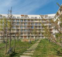 Lakókomplexum Pozsony-Ružinovban gondozott zöldterülettel és játszótérrel.