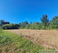 Telek Hosťován lakhatásra, zölddel és kék éggel körülvéve.