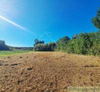 Zöld terület és rét lakóövezetben Hosťovában a kék ég alatt.