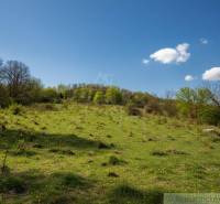Zöld lejtő elszórt fákkal és kék ég Krupina környékén, ideális lakóterületnek.