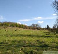 Rétek Krupinában a lakóterületek számára - virágokkal és gondozott zöldterülettel.