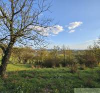 Kilátás a virágzó rétekre és fákra Krupina felett, Lakóövezeti telkek.