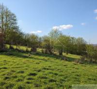 Virágzó rétek és fák Krupinában bemutatják a telkeket - lakóhely idilli környezetben.