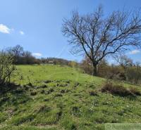 Zöldterület virágokkal és fákkal a Krupina környéki lakóterületeken.