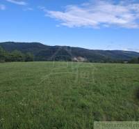 Gyönyörű zöld lakóterületek Felső-Tiszavölgyben, erdő panorámával és kék égbolttal.