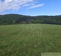 Zöld rét erdőkkel körülvéve Felsőtiszonynál, ideális lakóterületnek.