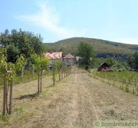 Családi ház Sátorosbánya községben nagy kerttel és szőlőskerttel, természet által körülvéve.