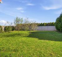 Családi ház kertje Kútnikokban gyepes és gyümölcsfákkal.