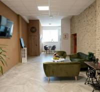 Irodák kényelmes ülőhellyel, növénnyel és televízióval, fa dekorációjú padlóval.