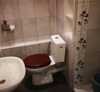 Fürdőszoba a garzonlakásban WC-vel, mosdóval és virágmintás csempékkel.