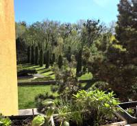 Zöld növények és virágok az erkélyen egy háromszobás lakásban Pozsonyban, a Petržalka városrészben, a Romanova utcában.