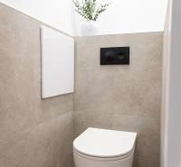 Függesztett WC-vel és dísznövénnyel ellátott WC egy háromszobás lakásban.